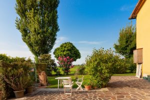 nature, relax, outdoors